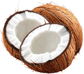 Coconut